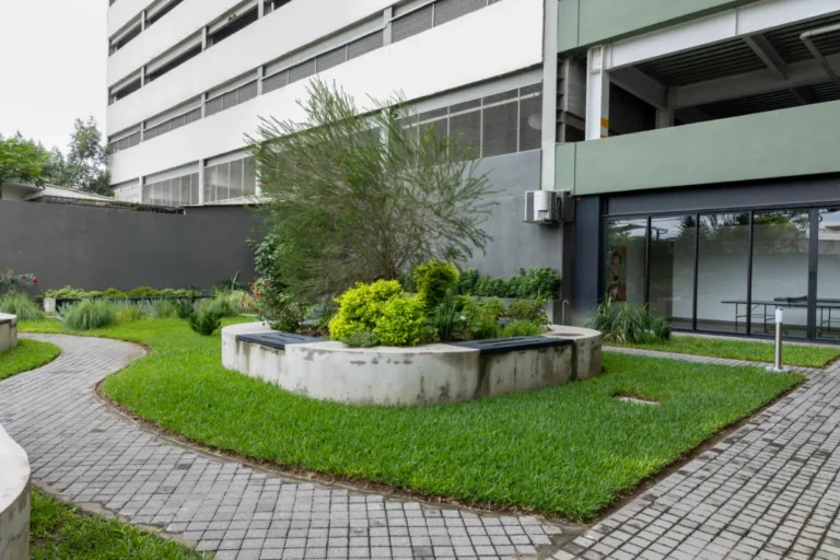 FBON1424 Editar 768x512