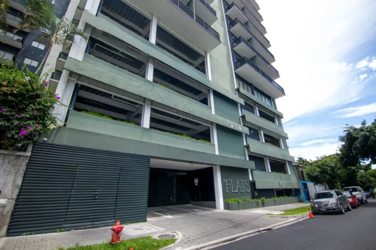 FBON1496 Editar 768x512