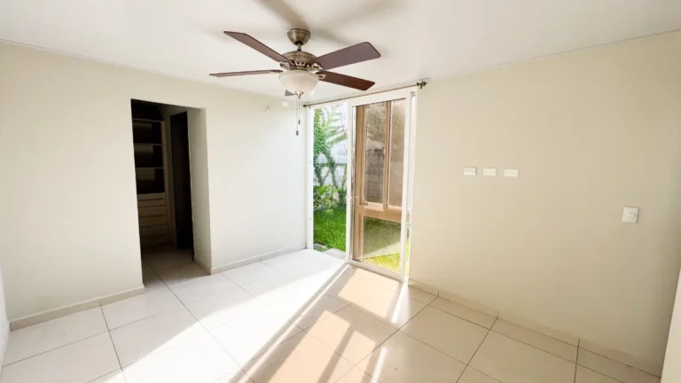 IMG 7962 jpg 768x432