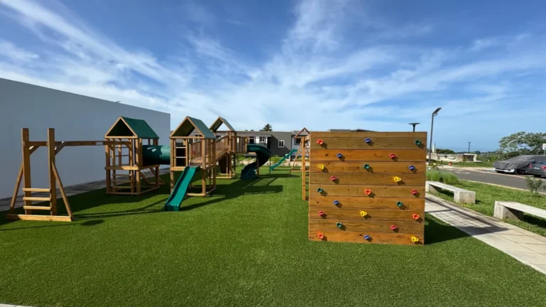 IMG 8005 jpg 768x432