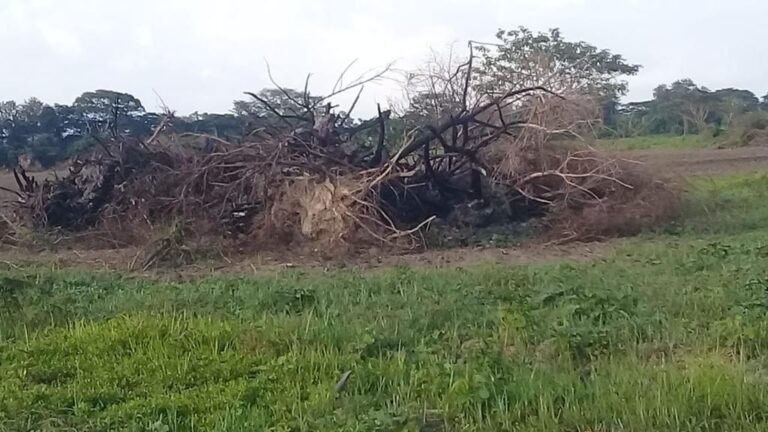 PHOTO 2023 06 27 10 17 35 768x432