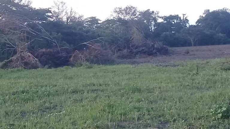 PHOTO 2023 06 27 10 17 35 1 768x432