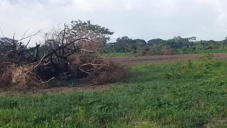 PHOTO 2023 06 27 10 17 35 2 768x432