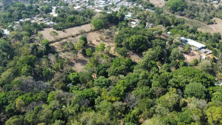 Screen Shot 2023 09 05 at 5.13.49 PM 1 768x433