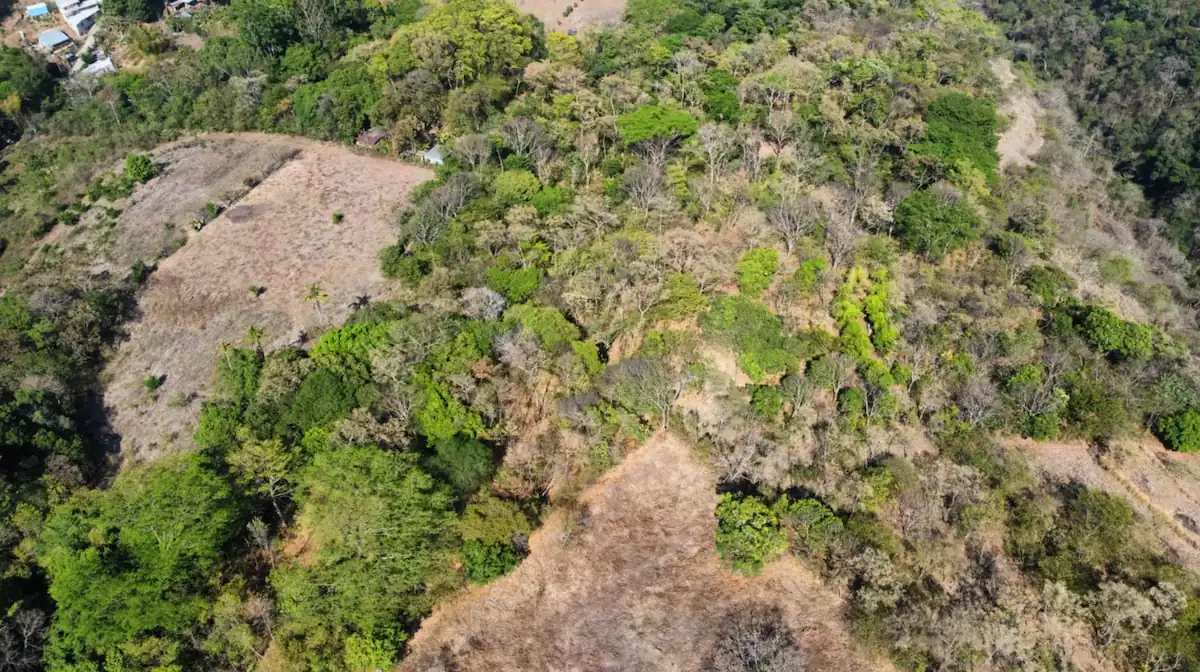 Screen Shot 2023 09 05 at 5.14.05 PM 2