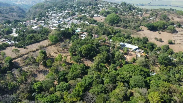 Screen Shot 2023 09 05 at 5.15.00 PM 2 768x433