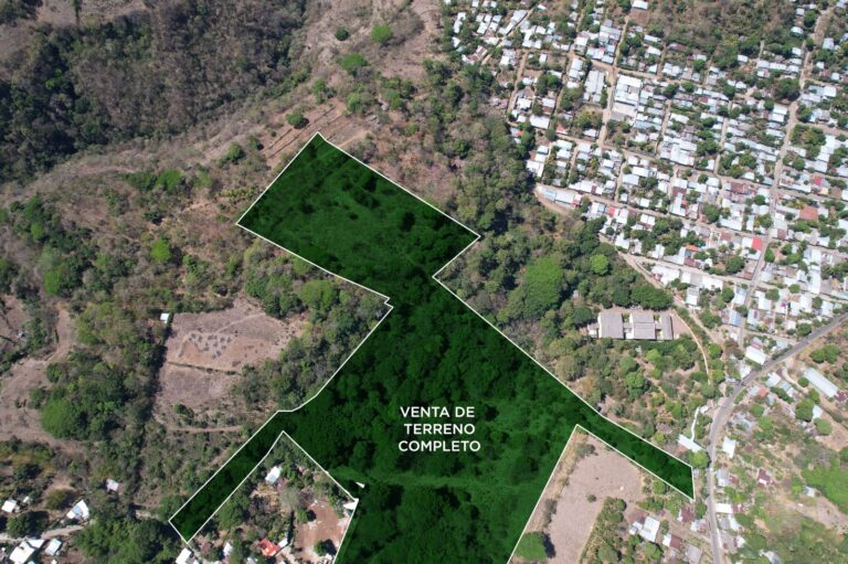 WhatsApp Image 2025 01 30 at 10.28.20 AM 768x511